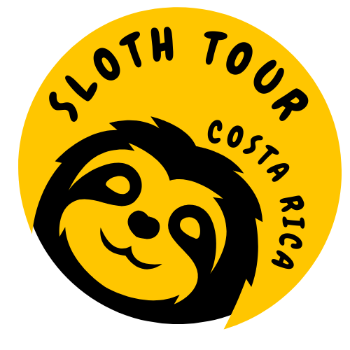 Sloth TourCostaRica